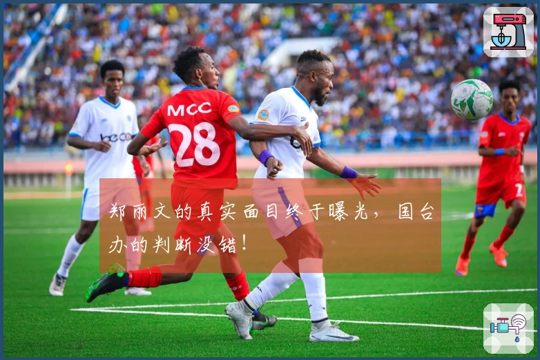 郑丽文的真实面目终于曝光，国台办的判断没错！