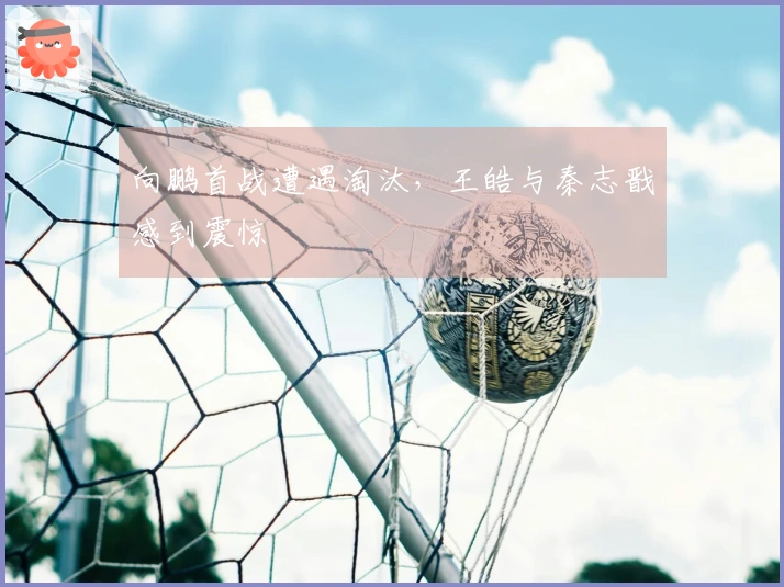 向鹏首战遭遇淘汰，王皓与秦志戬感到震惊