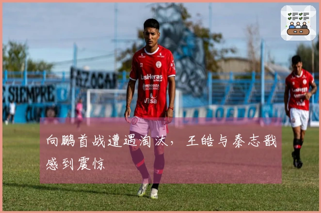 向鹏首战遭遇淘汰，王皓与秦志戬感到震惊