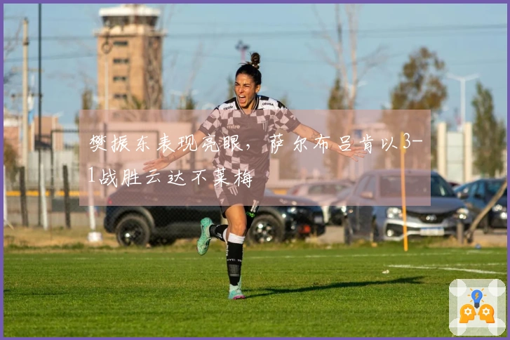 樊振东表现亮眼，萨尔布吕肯以3-1战胜云达不莱梅